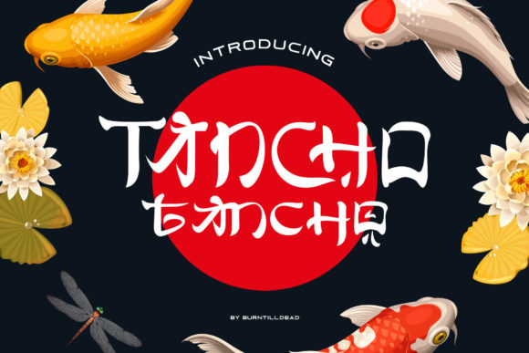Transform Your Brand with Tancho: A Unique Display Font